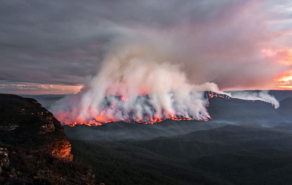 wildfires impact